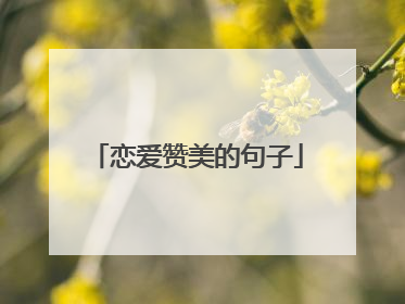 恋爱赞美的句子