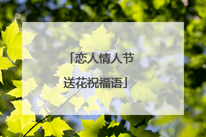 恋人情人节送花祝福语