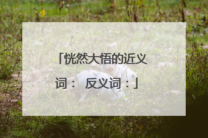恍然大悟的近义词： 反义词：