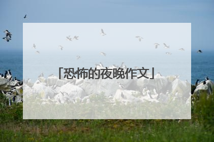 恐怖的夜晚作文