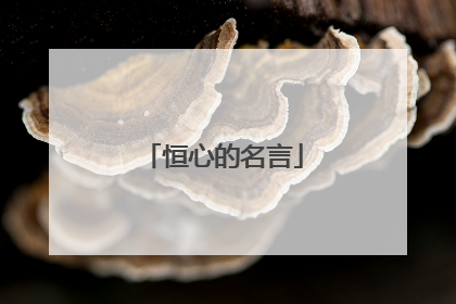 恒心的名言