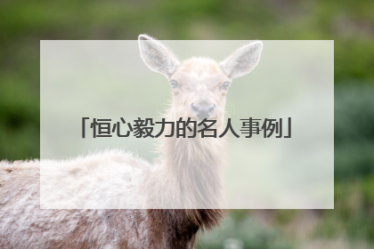 恒心毅力的名人事例
