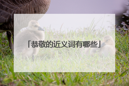 恭敬的近义词有哪些