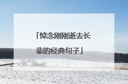 悼念刚刚逝去长辈的经典句子