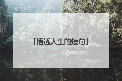 悟透人生的短句