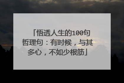 悟透人生的100句哲理句:有时候,与其多心,不如少根筋