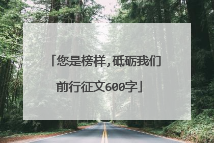 您是榜样,砥砺我们前行征文600字