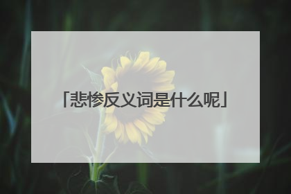 悲惨反义词是什么呢