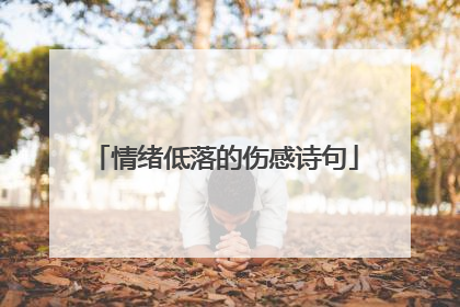情绪低落的伤感诗句