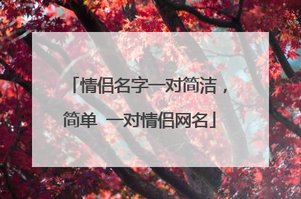 情侣名字一对简洁，简单 一对情侣网名