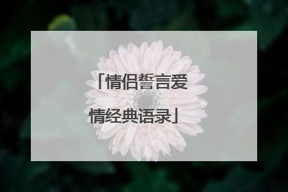 情侣誓言爱情经典语录