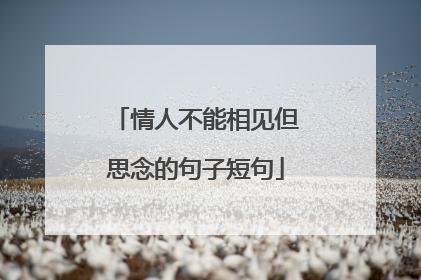 情人不能相见但思念的句子短句