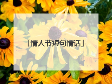 情人节短句情话
