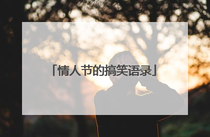 情人节的搞笑语录