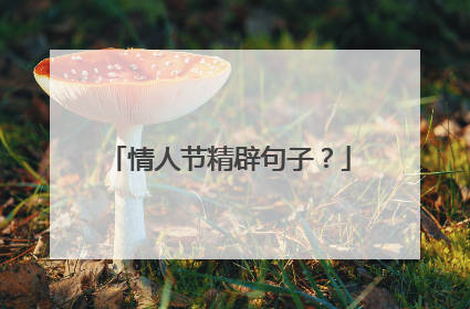 情人节精辟句子？