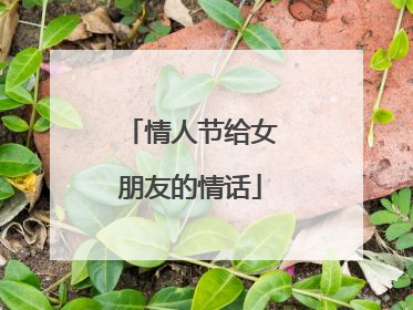 情人节给女朋友的情话