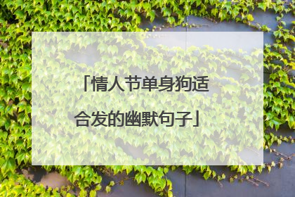 情人节单身狗适合发的幽默句子