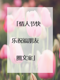 情人节快乐祝福朋友圈文案