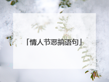 情人节恶搞语句
