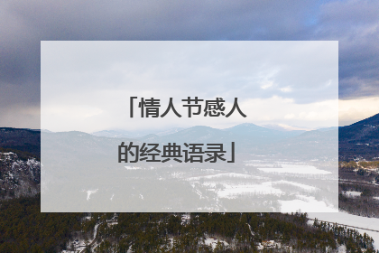 情人节感人的经典语录