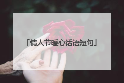 情人节暖心话语短句