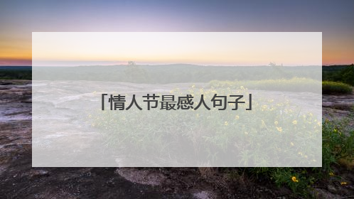 情人节最感人句子