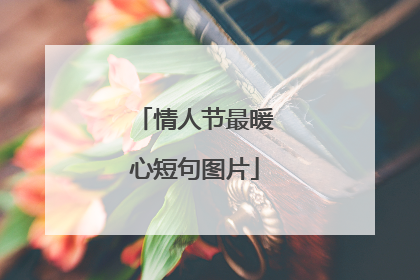 情人节最暖心短句图片