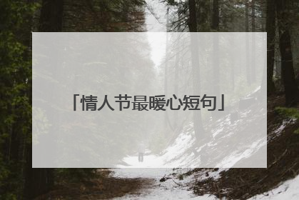 情人节最暖心短句