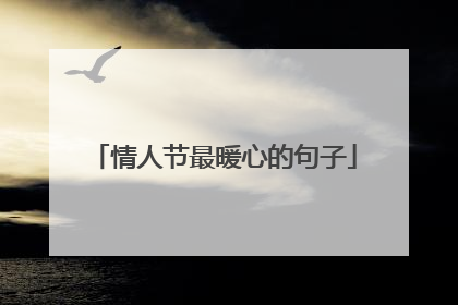 情人节最暖心的句子