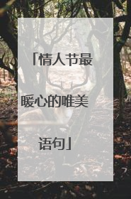 情人节最暖心的唯美语句