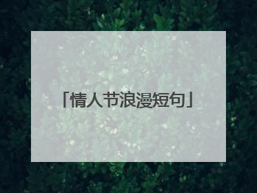 情人节浪漫短句