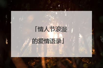 情人节浪漫的爱情语录