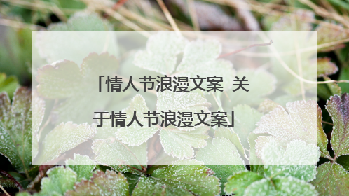 情人节浪漫文案 关于情人节浪漫文案