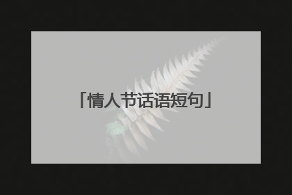 情人节话语短句