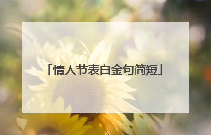 情人节表白金句简短