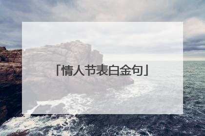 情人节表白金句