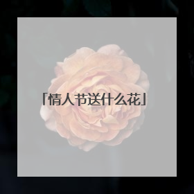 情人节送什么花