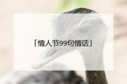 情人节99句情话