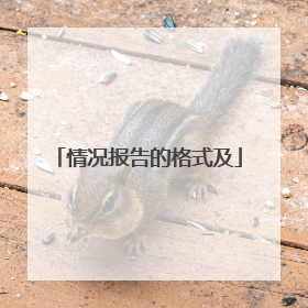 情况报告的格式及