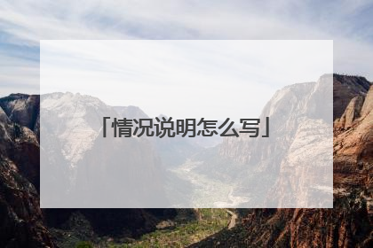 情况说明怎么写
