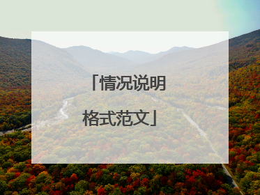 情况说明格式范文