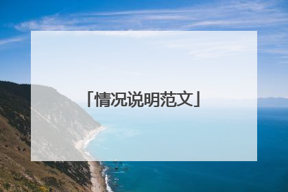 情况说明范文