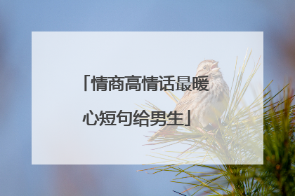 情商高情话最暖心短句给男生