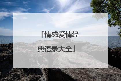 情感爱情经典语录大全