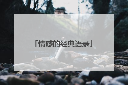 情感的经典语录