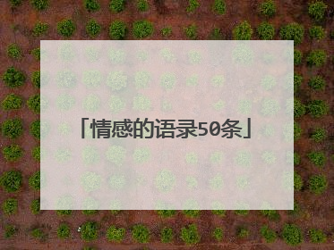 情感的语录50条
