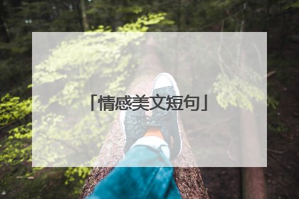 情感美文短句