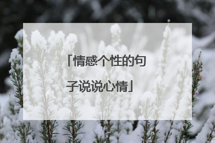 情感个性的句子说说心情