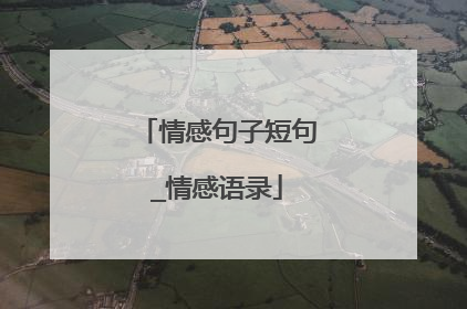 情感句子短句_情感语录