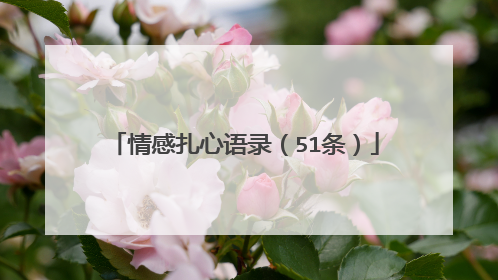 情感扎心语录(51条)
